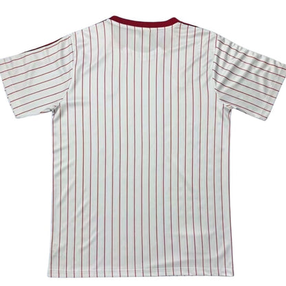 Benfica Terrace Icon Shirt 2025/26