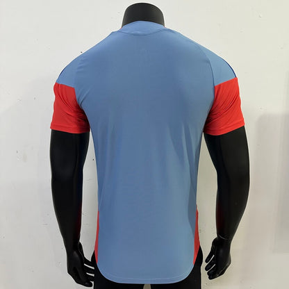 Japan 2026 World Cup Player Version Away Soccer Jersey