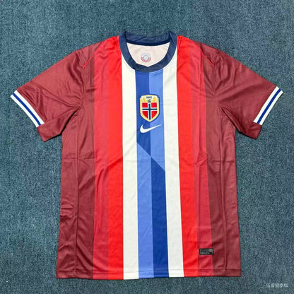 Norway Home Football Jersey Euro 2024