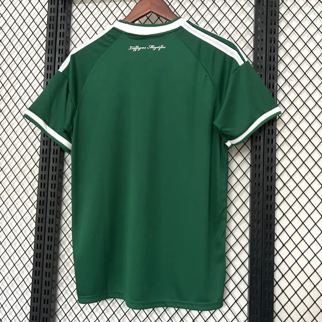 Panathinaikos Home Soccer Jersey 2026/27