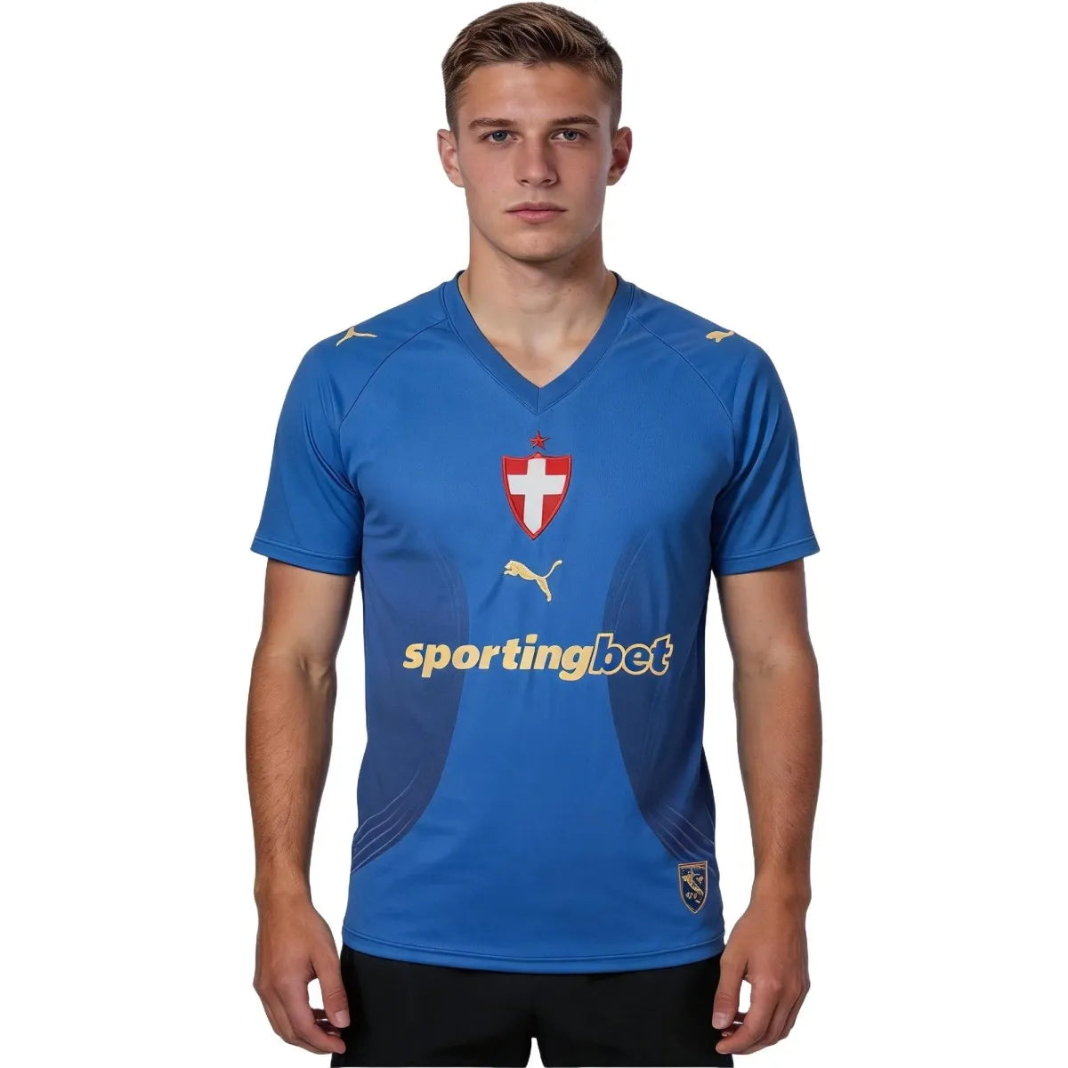 Camiseta de fútbol SE Palmeiras segunda 2026/27