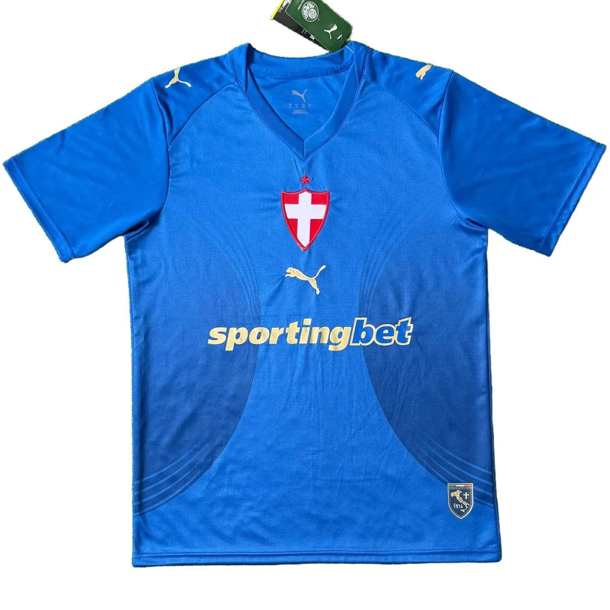 Camiseta de fútbol SE Palmeiras segunda 2026/27