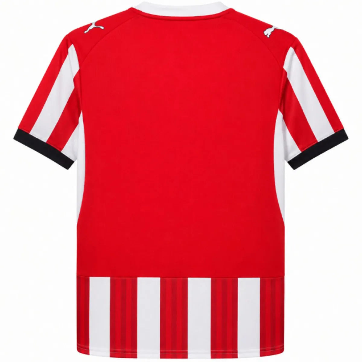Southampton F.C. Home Soccer Jersey 2026/27