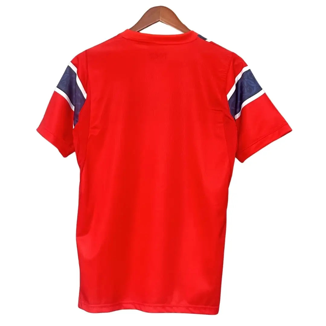 Camiseta de fútbol de casa Braut Haaland #9 Løvene Mundial 2026